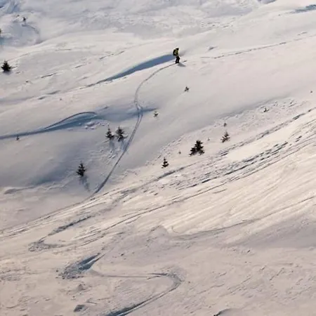Lofoten Sea Sennesvik