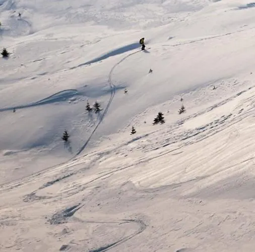 Lofoten Sea Sennesvik