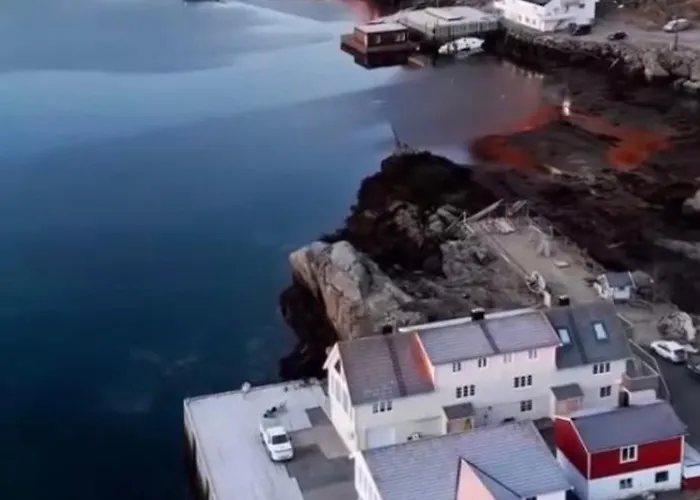 Lofoten Sea Sennesvik